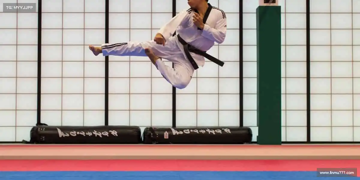 行业领先的理由